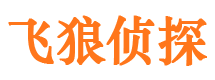 渑池找人公司